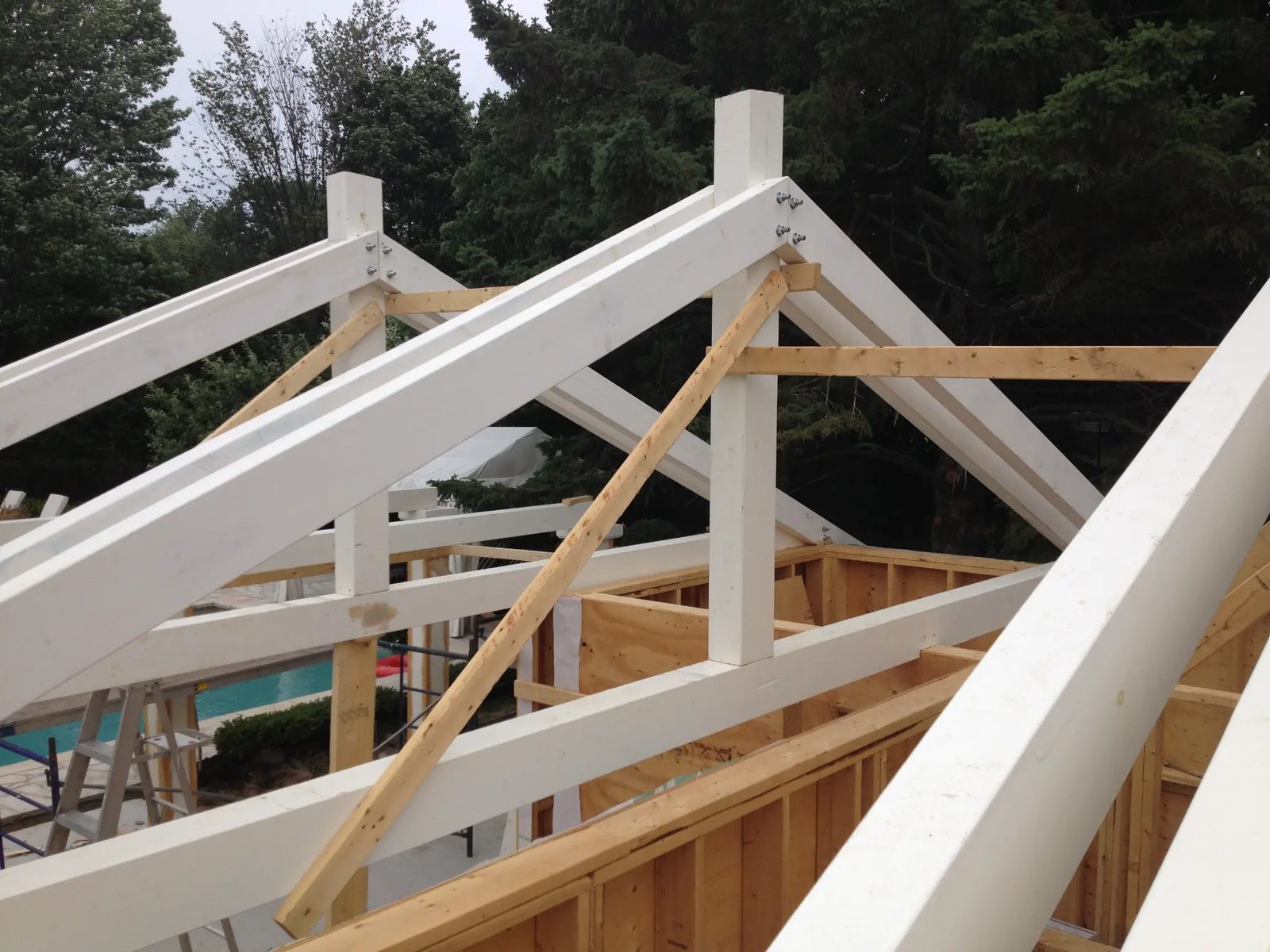 Pool House — Roof framing