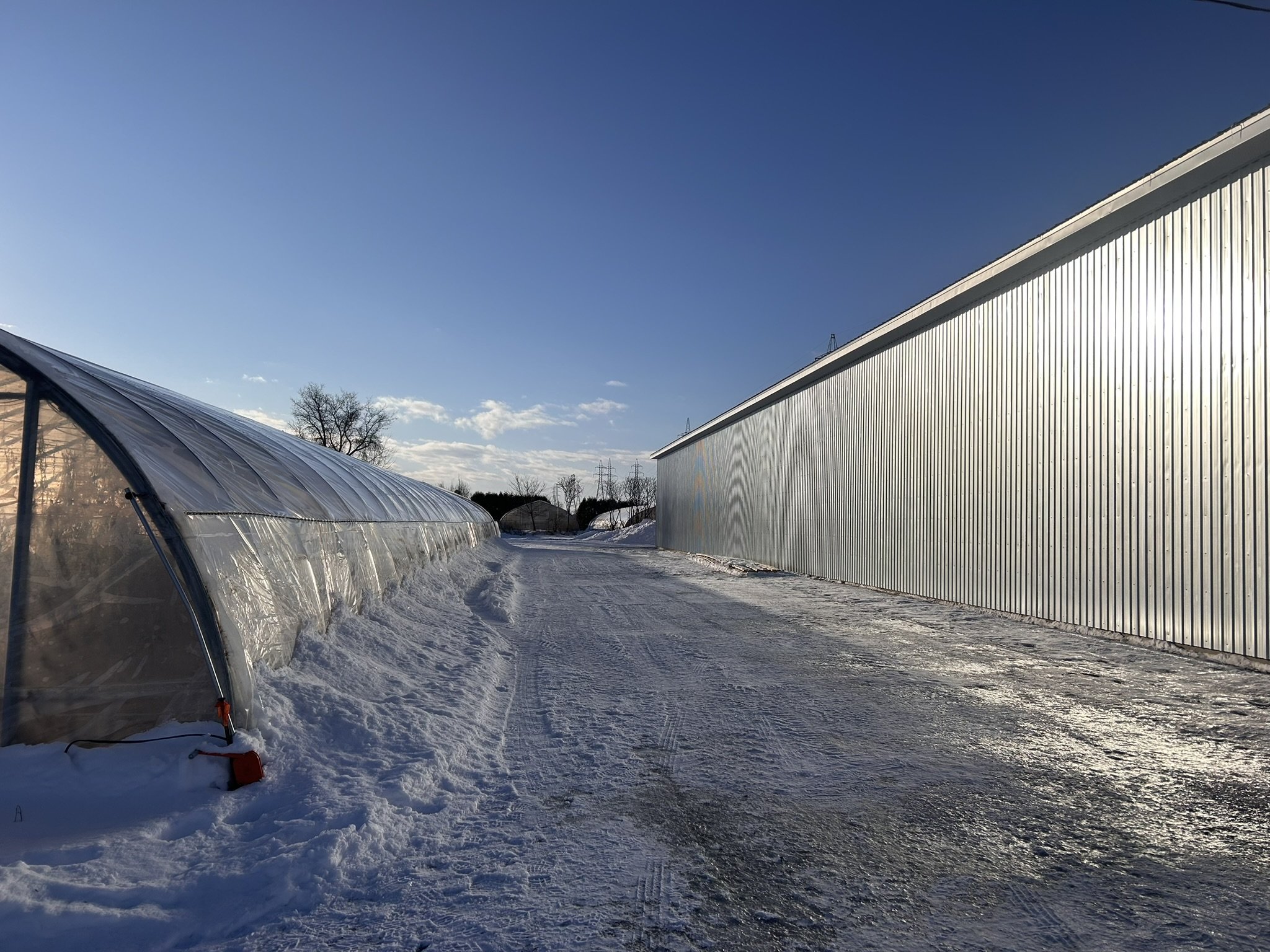 St-Eustache Barn — View 1